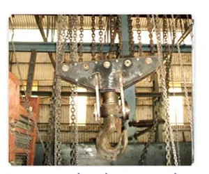 Chain Pulley Block Hoist manufacturer of India