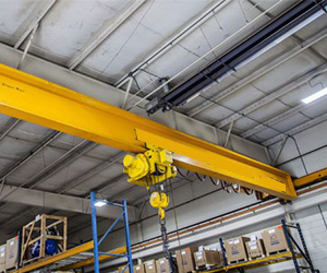 Electric Cranes, Manufacturer & Supplier in India,